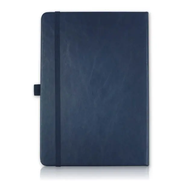 1656-Pointer-Notebook-logo-blue-600x600.webp