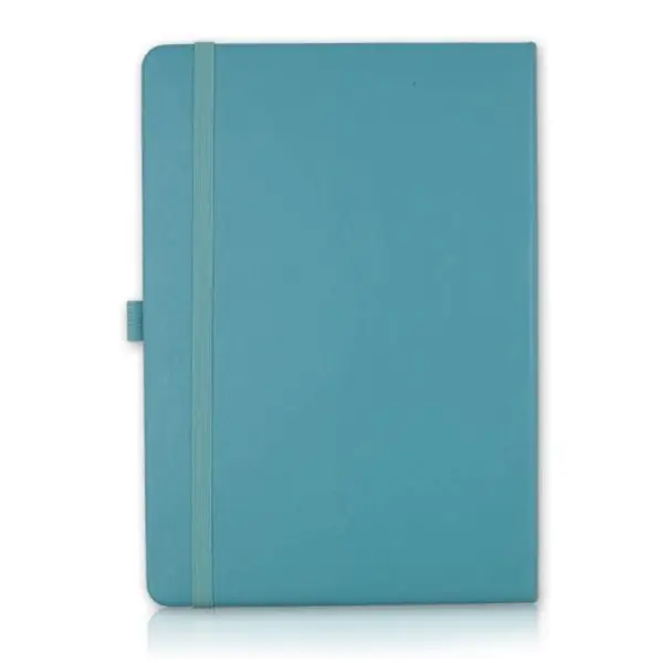1656-Pointer-Notebook-logo-light-blue-600x600.webp