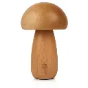 2012-ODIN-600x600.webp
