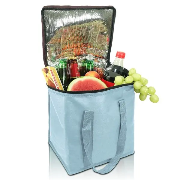 1788-Frozen-cooler-15L-light-blue-open-600x600.webp