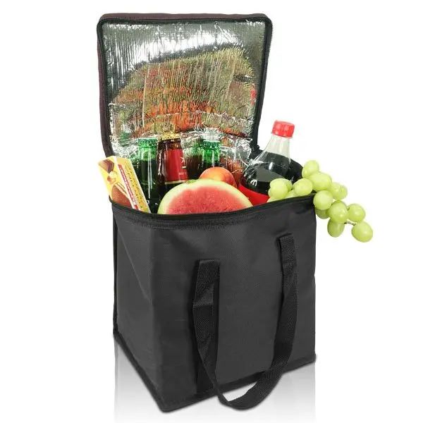 1788-Frozen-cooler-15L-black-open-600x600.webp