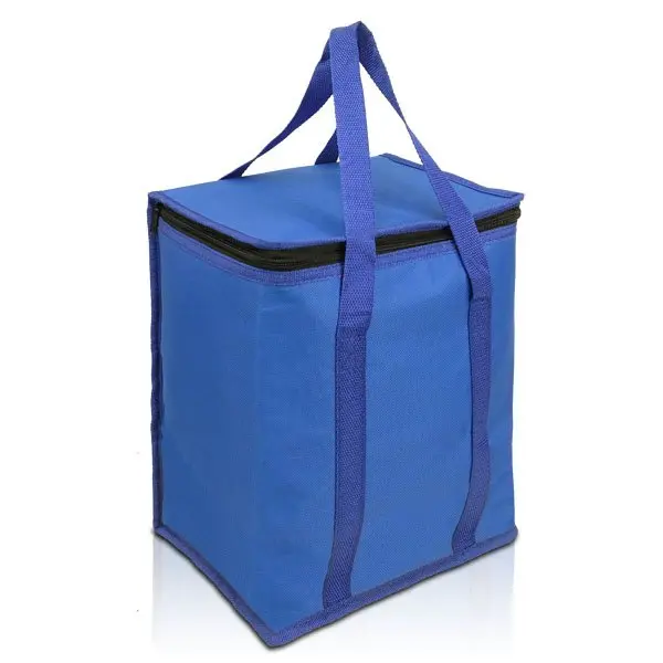 1788-Frozen-cooler-15L-blue-600x600.webp