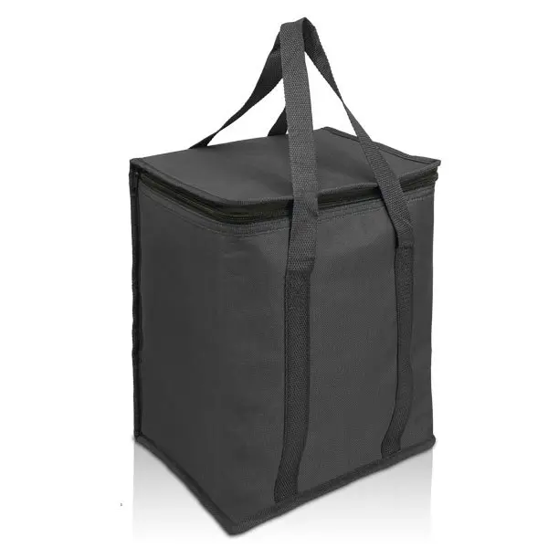 1788-Frozen-cooler-15L-black-600x600.webp