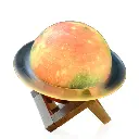 2114-Cosmos-4.webp