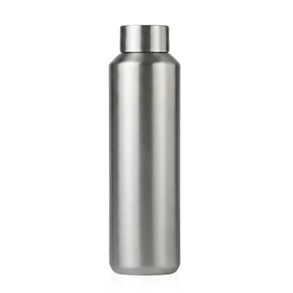 2131-ARIGATO-SILVER.webp
